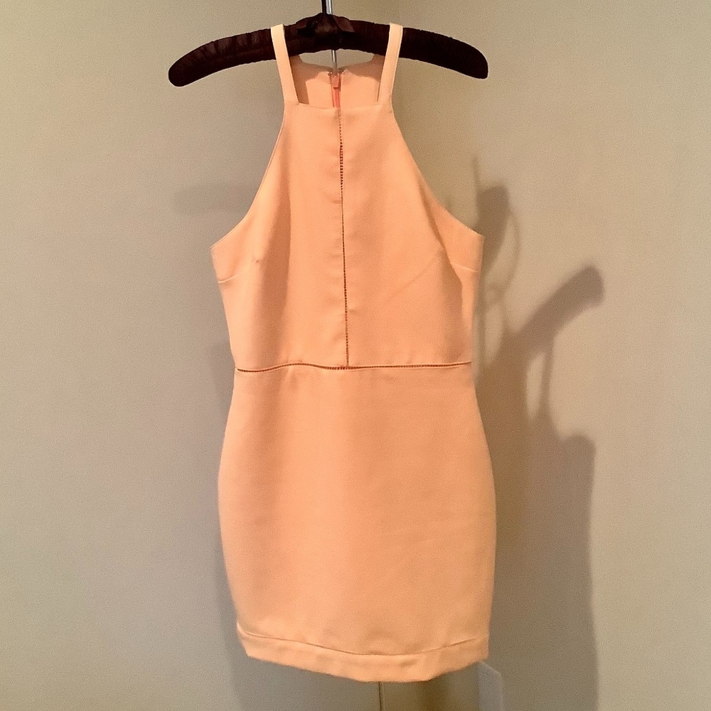 Elizabeth & James Cocktail Dress